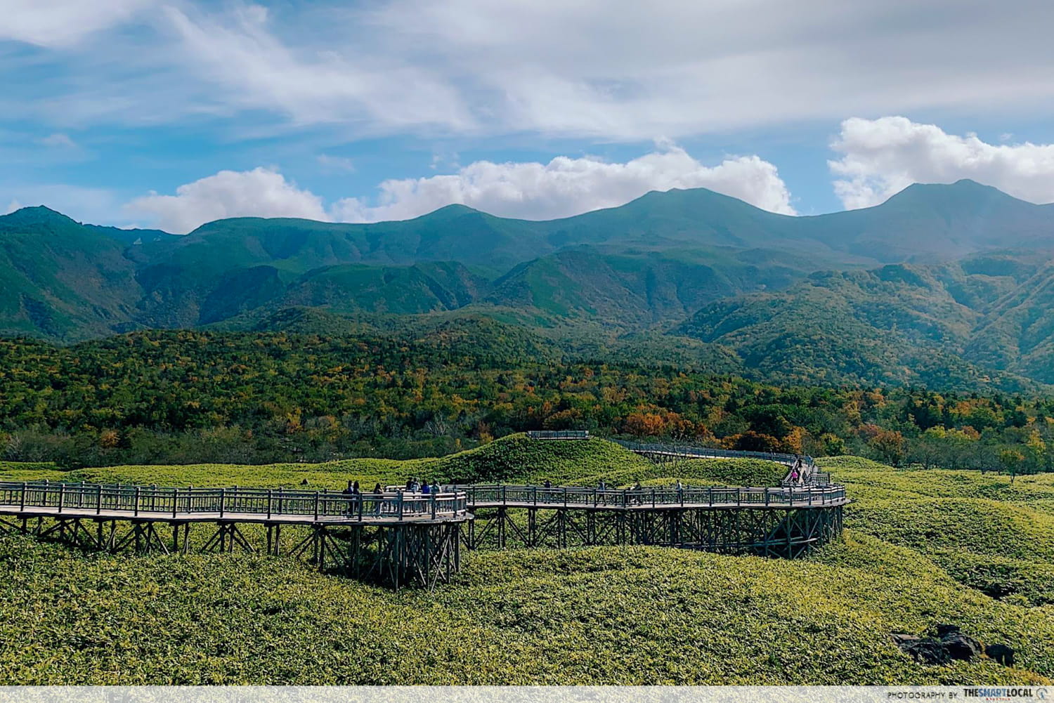 Things to do in Hokkaido in Japan - wooden path