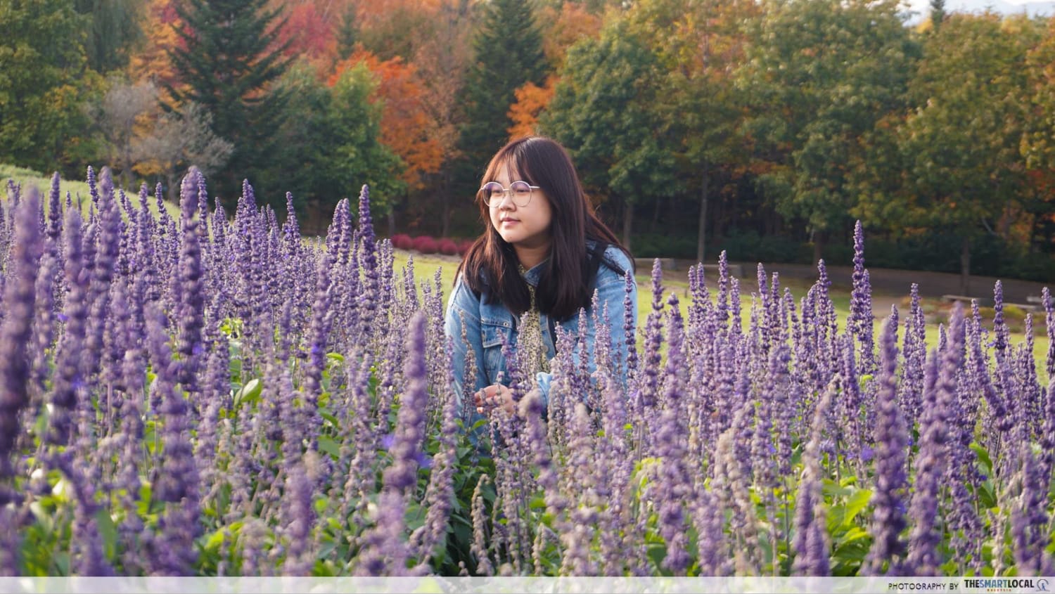 Things to do in Hokkaido in Japan - flowers