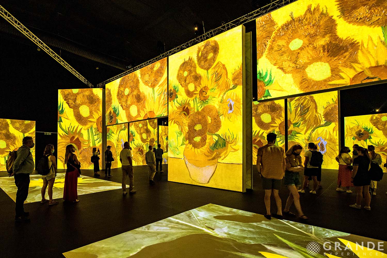 Van Gogh Alive - sunflowers