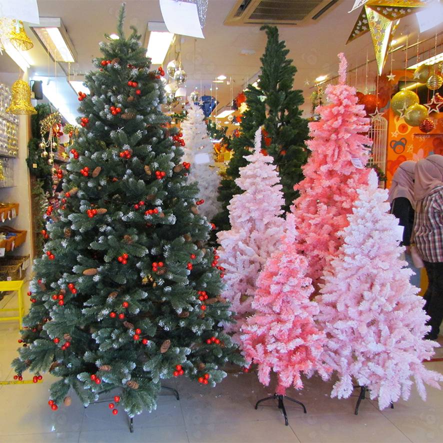 Christmas Tree guide Malaysia - trees