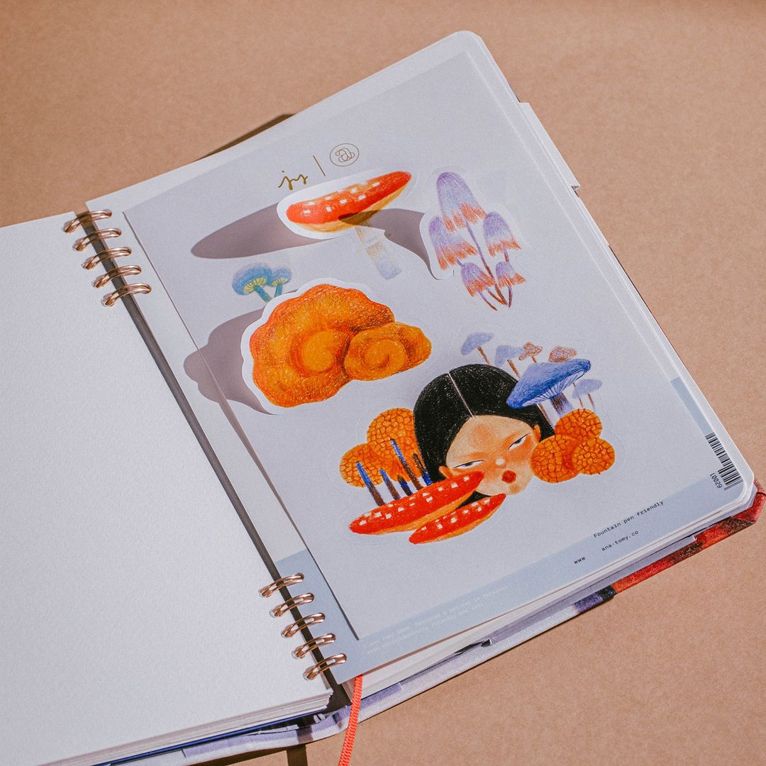 places to get journals & stickers - ana tomy journal