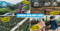 14 Things To Do In Cameron Highlands Besides Just Visiting Tea Plantations This Weekend