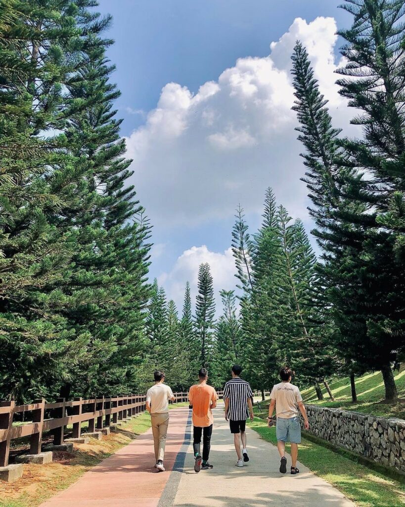 Taman Saujana Hijau: A Sprawling Park With Flower Fields In Putrajaya