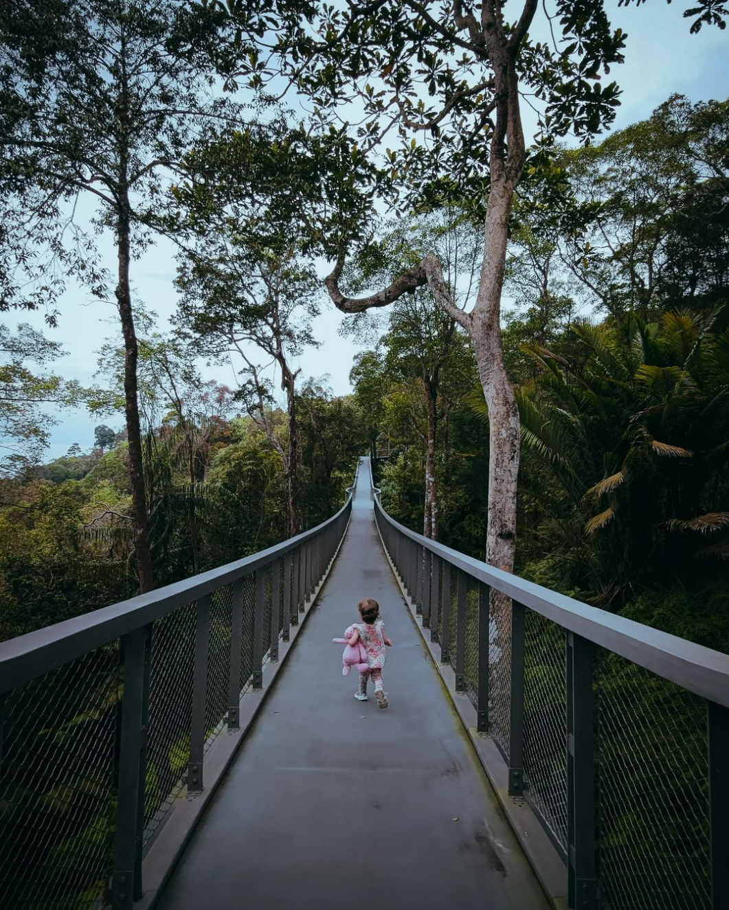 Things to do in penang - habitat bridge