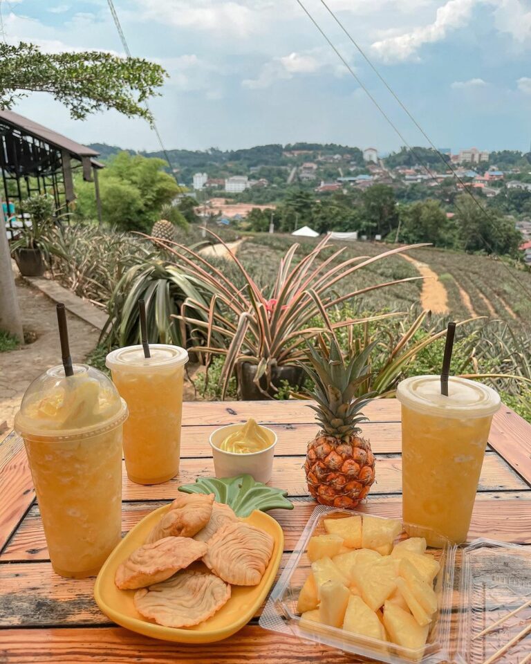 Saudagar Nanas Is A Farm Cafe In Kajang With Pineapple Desserts