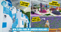 Agro Market Is A New Flora Park In Cameron Highlands With Flower Hills & A Santorini Photo Spot