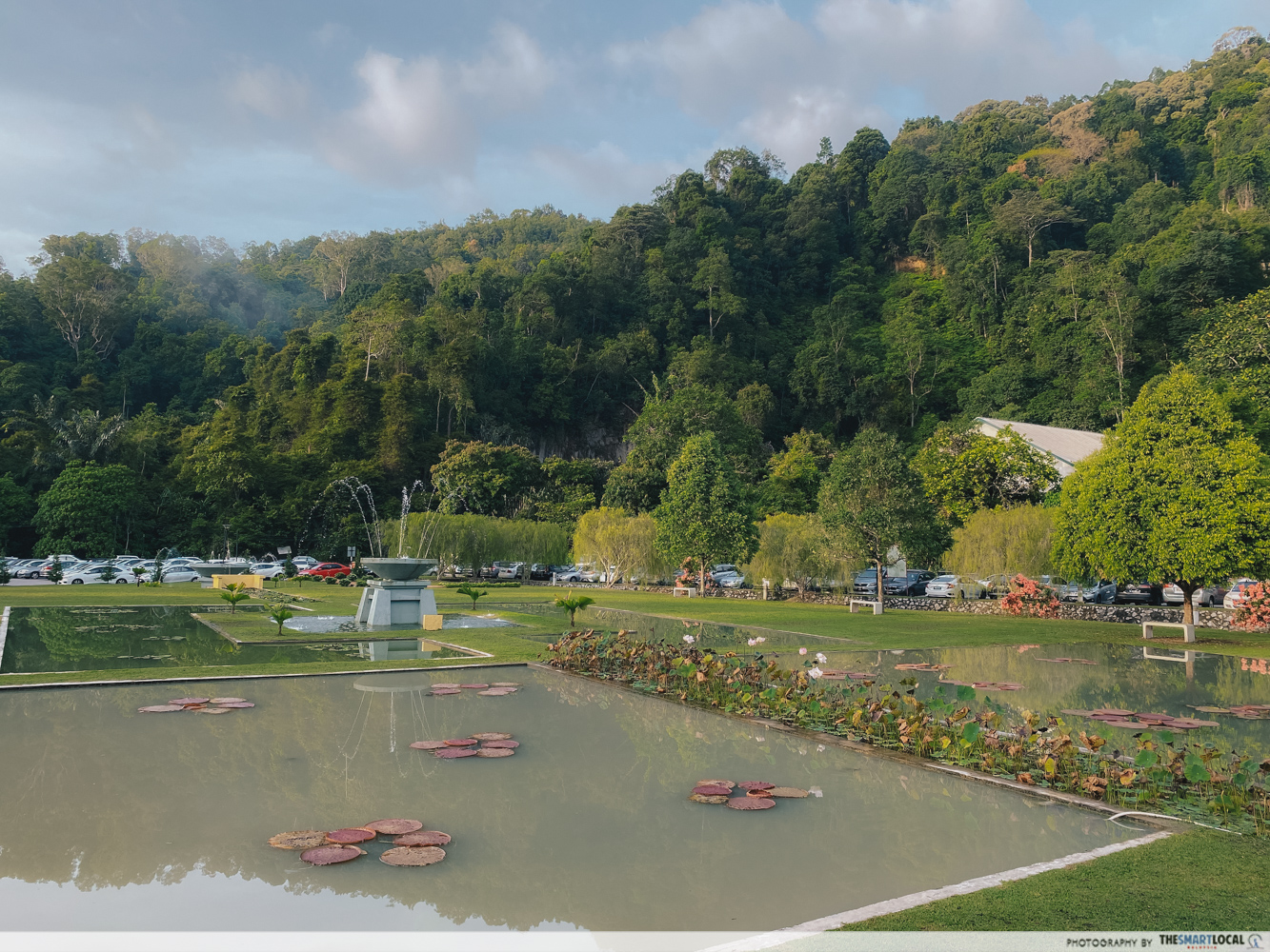 Penang Botanic Gardens - fountain
