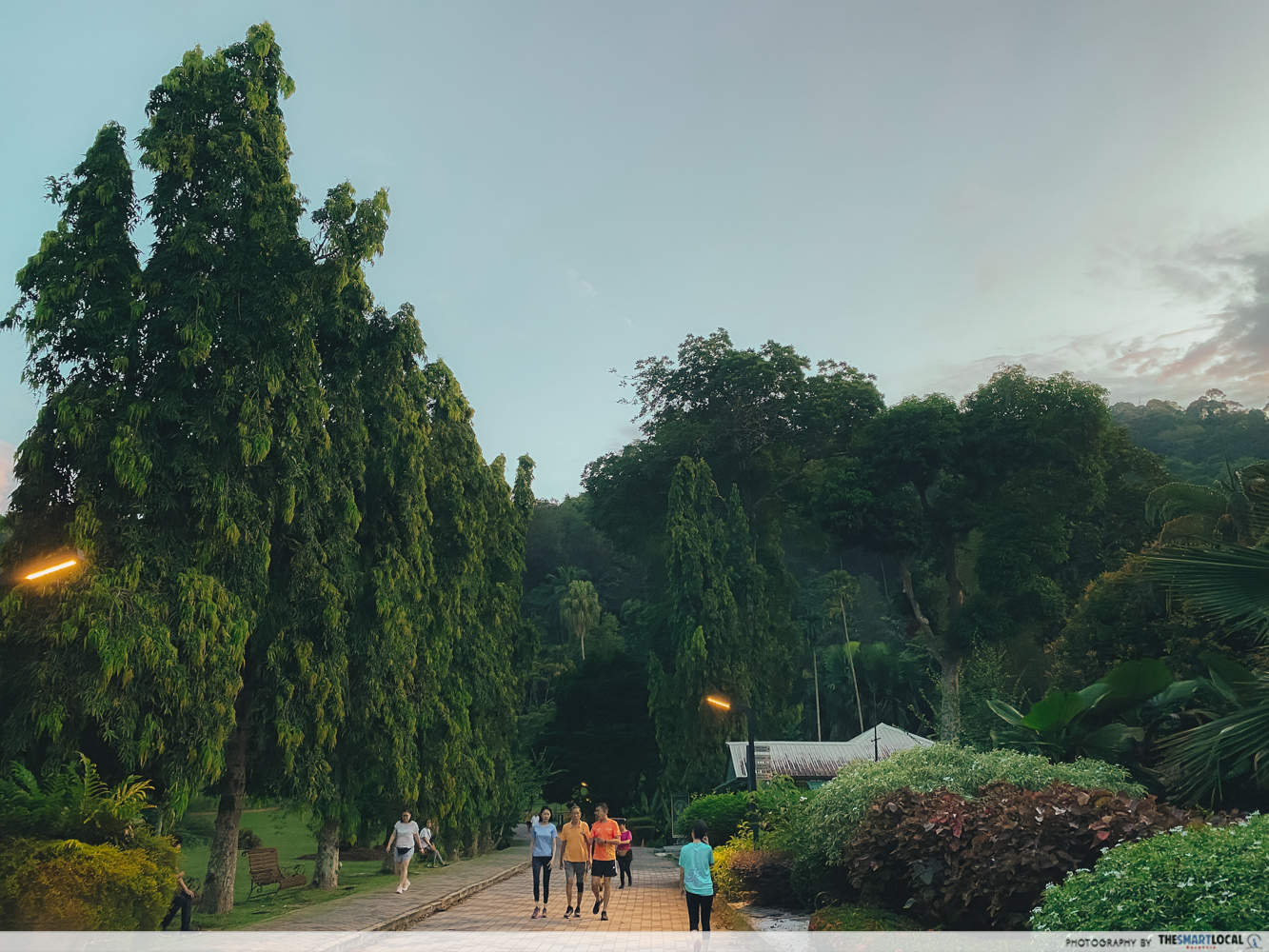 Penang Botanic Gardens - jogging