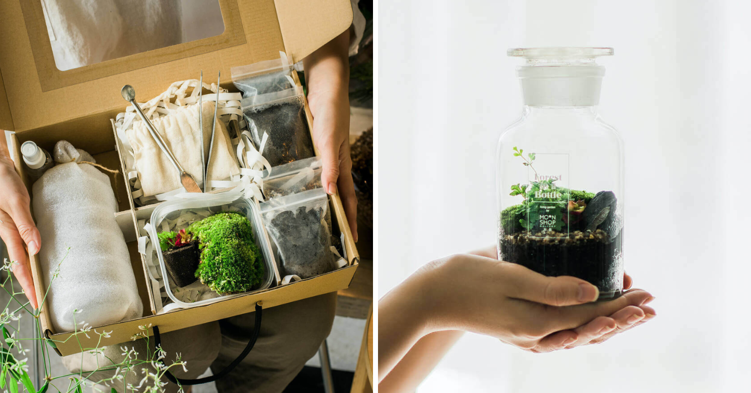 affordable Mother's Day gifts in Malaysia - diy terrarium