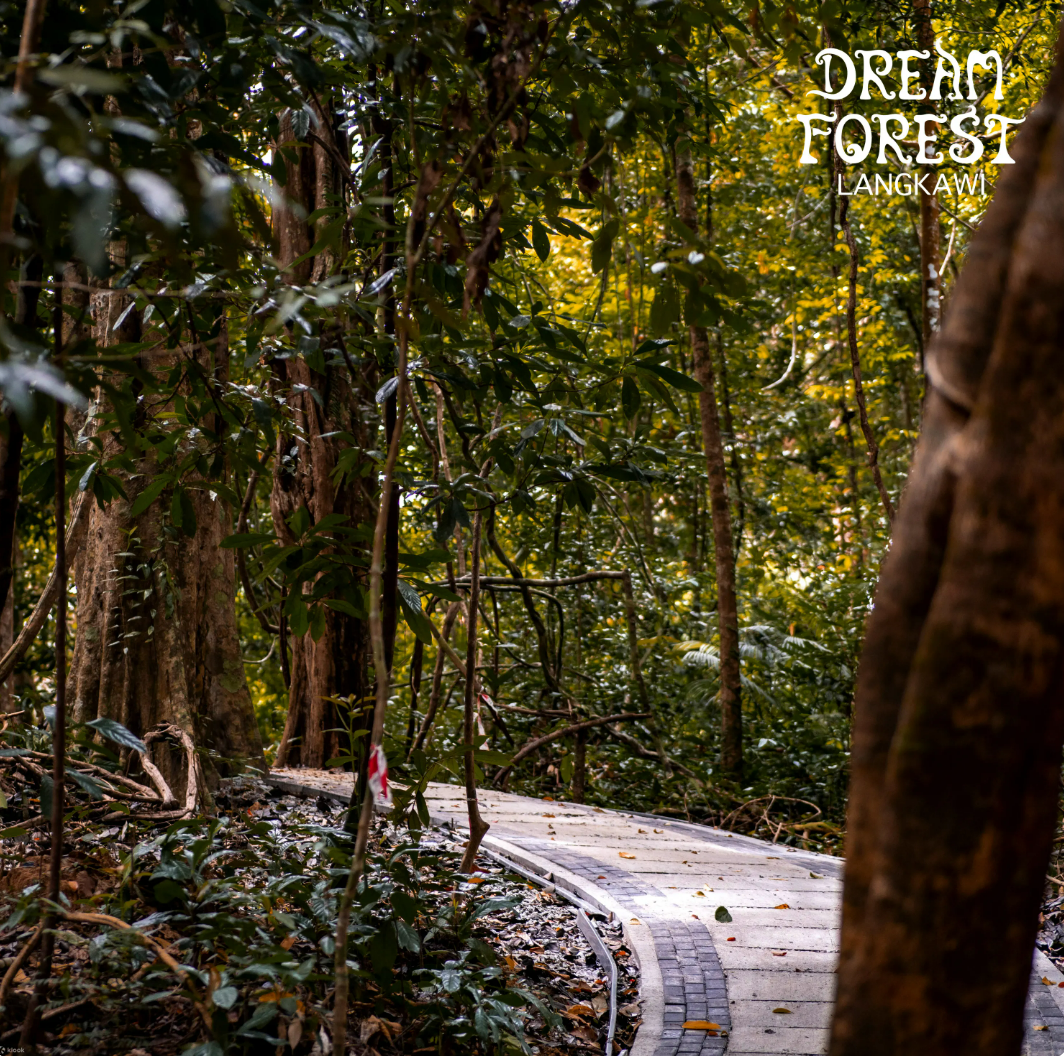 Dream Forest Langkawi - walk
