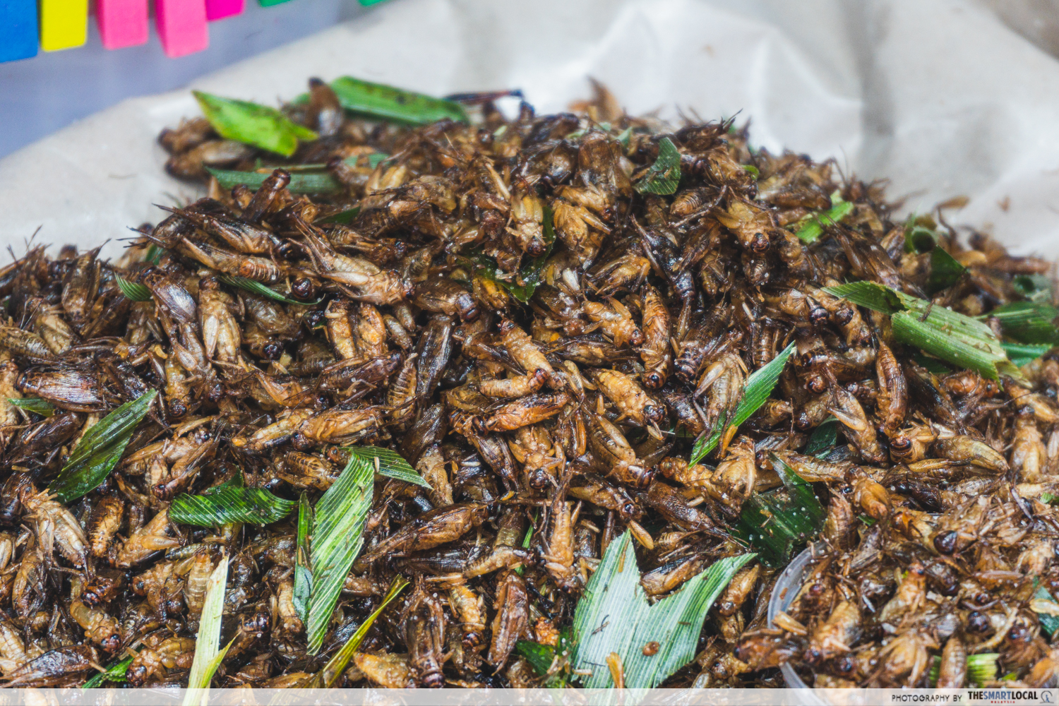 Thai Bites Festival - fried crickets