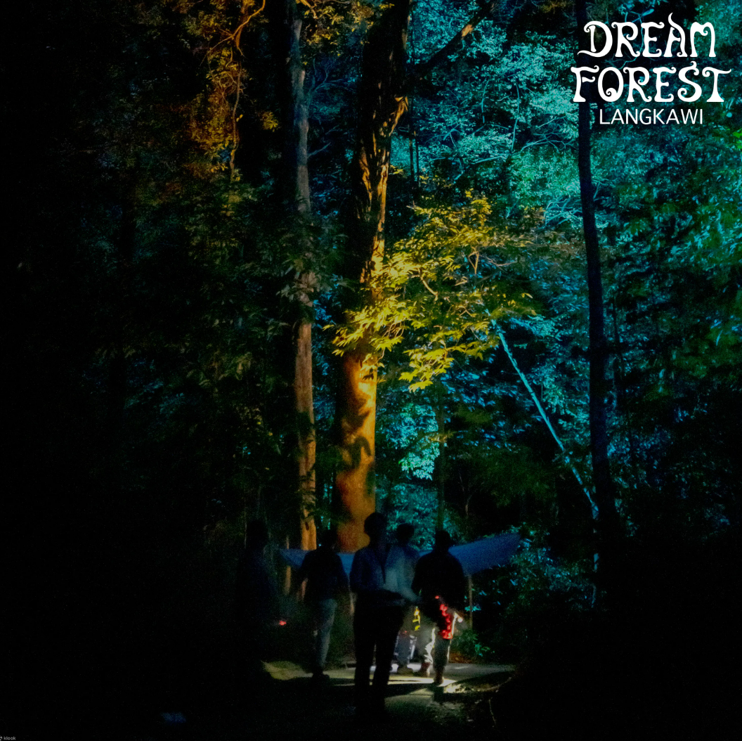 Dream Forest Langkawi - immersive
