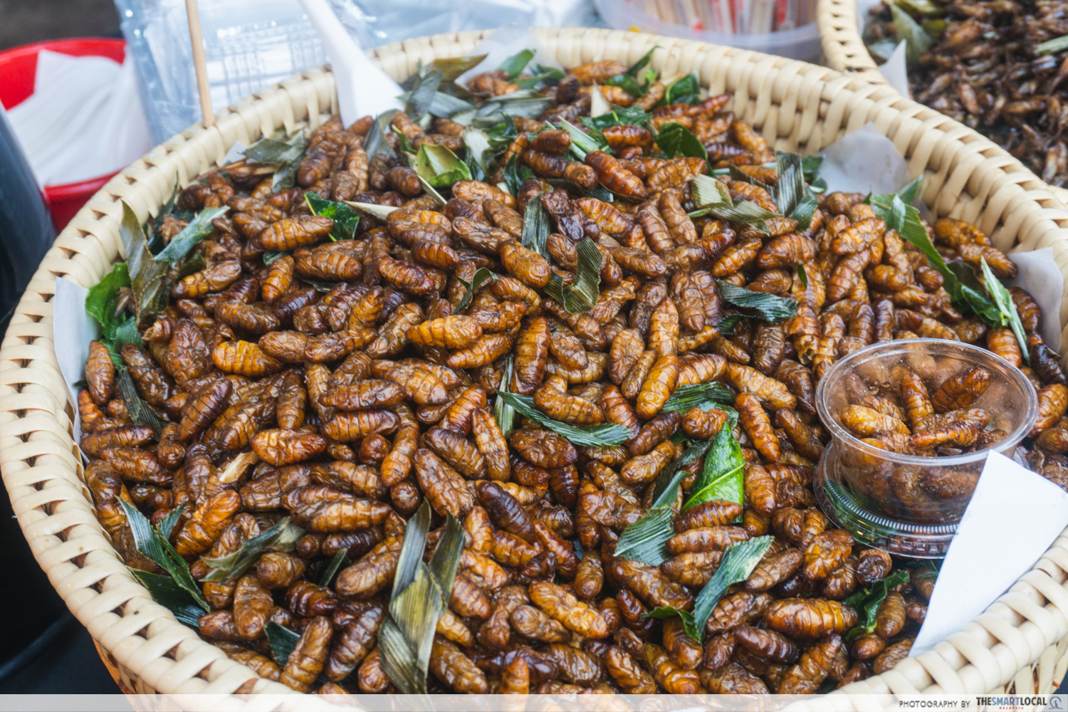 Thai Bites Festival - fried silkworms