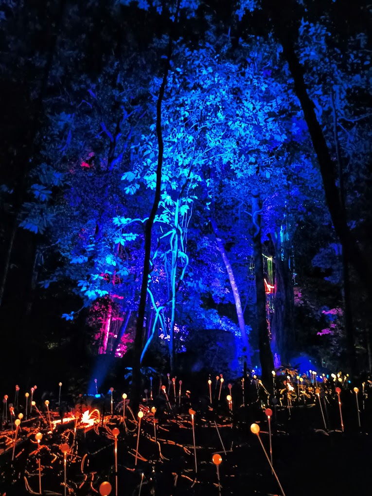 Dream Forest Langkawi - lights