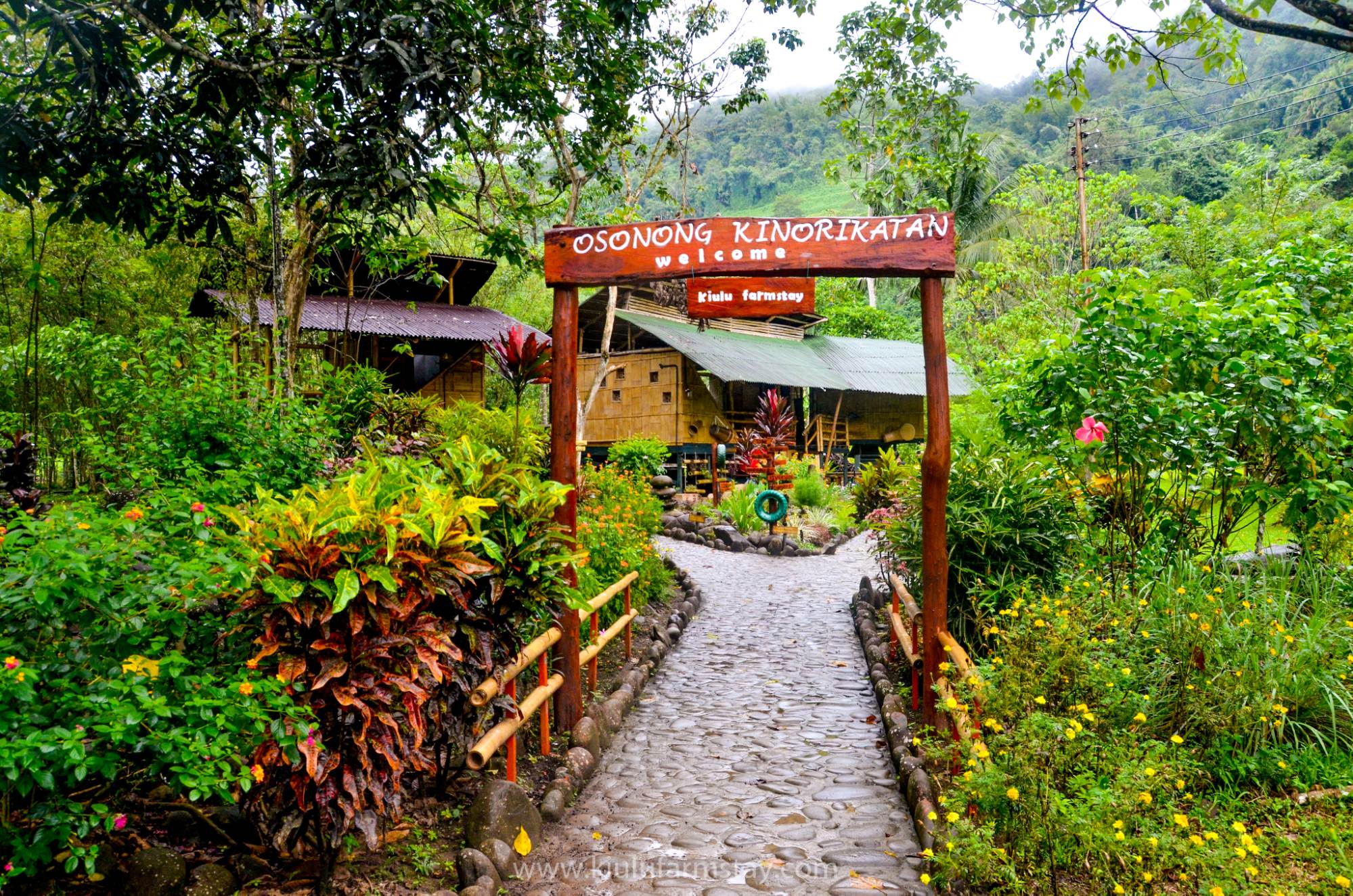 Things to do in Sabah - Kiulu Farmstay