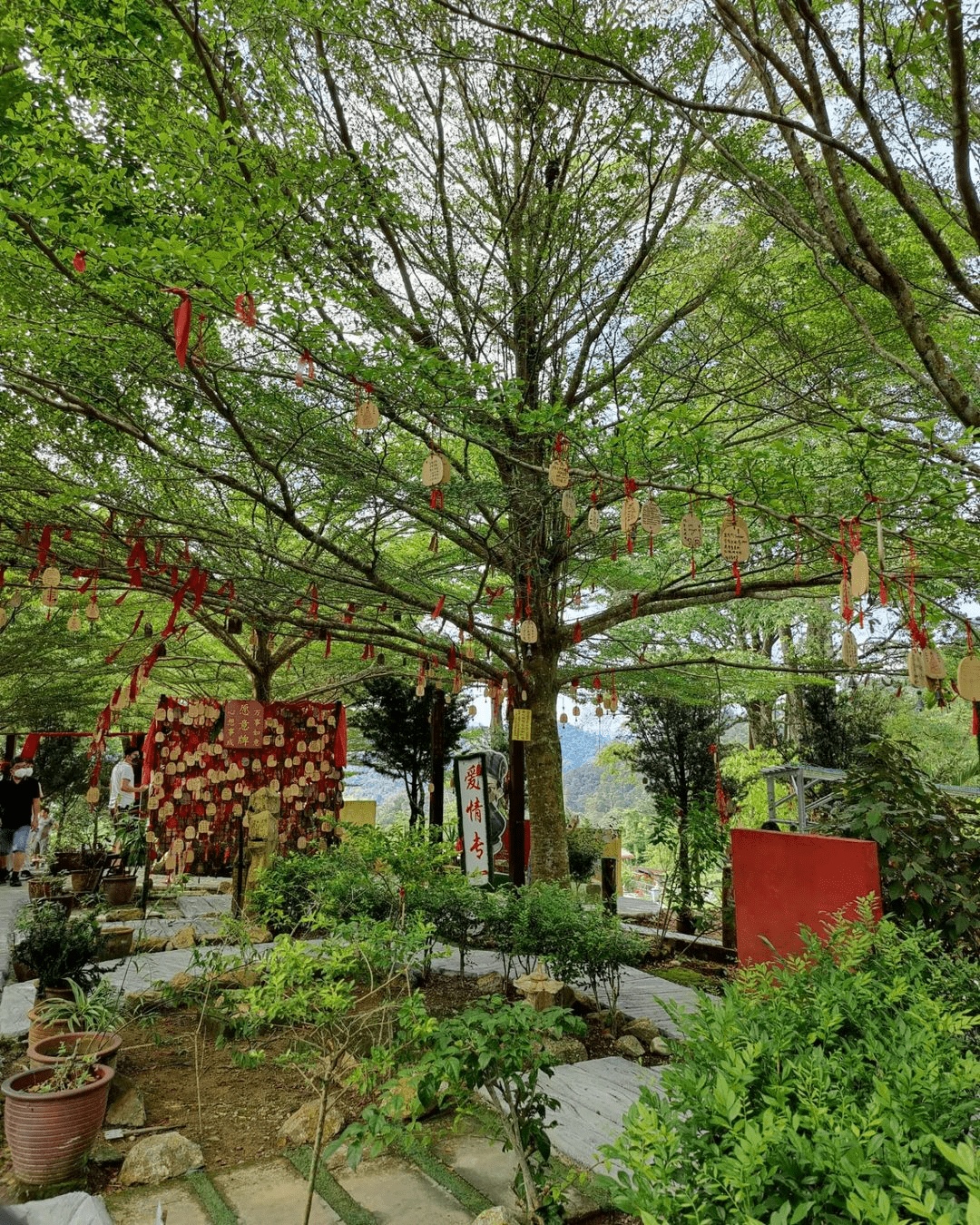 Wishing tree -Sak Dato Temple in Broga