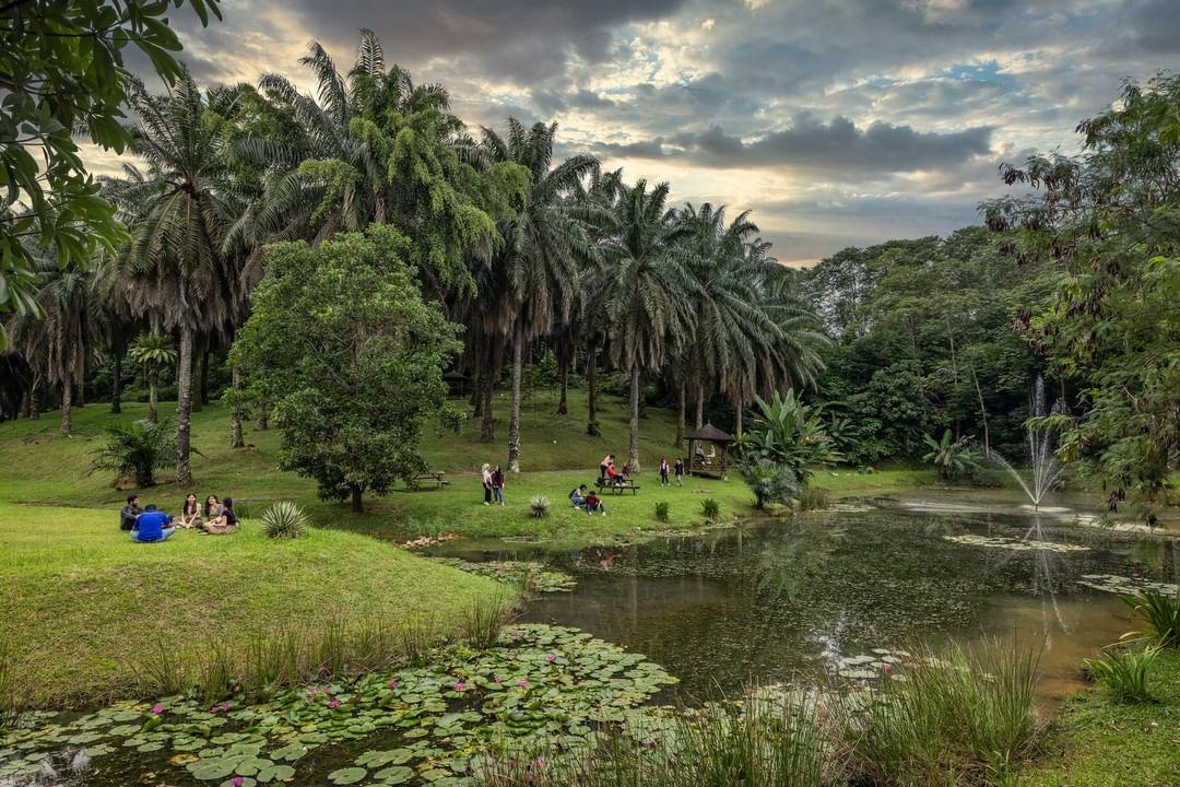 English Student at a local university - nature environment