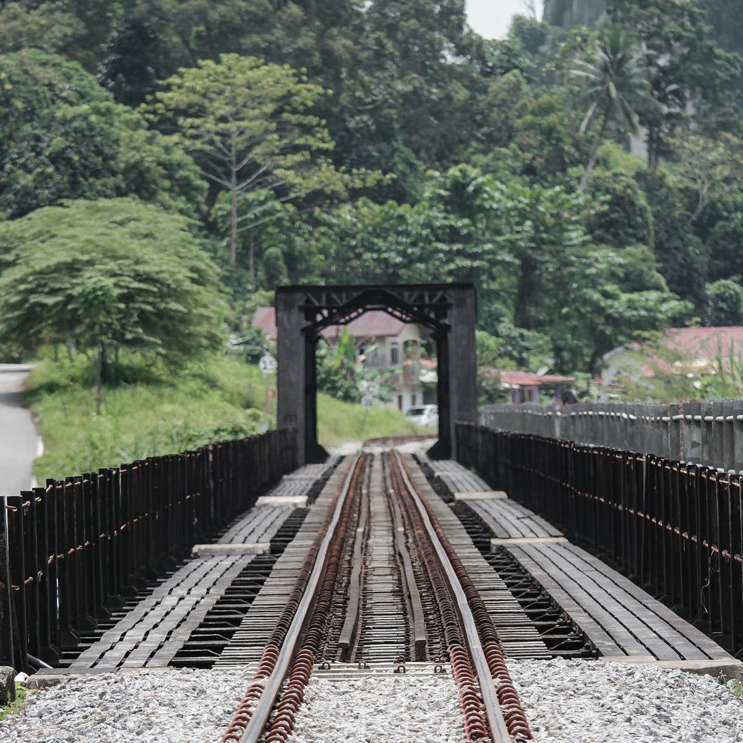 Jungle Railway - bridge