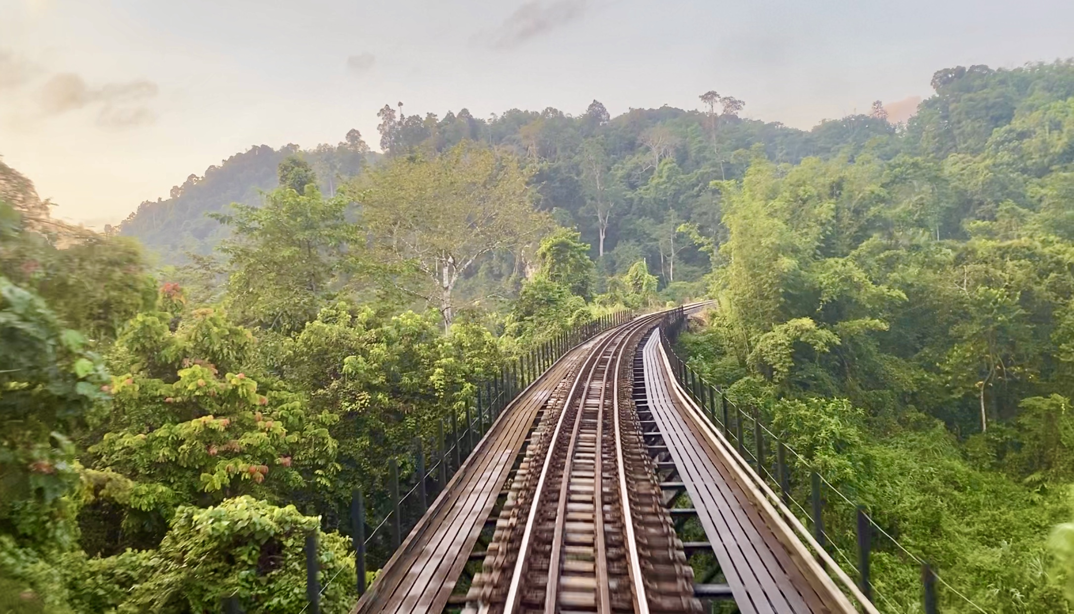 Jungle Railway - track