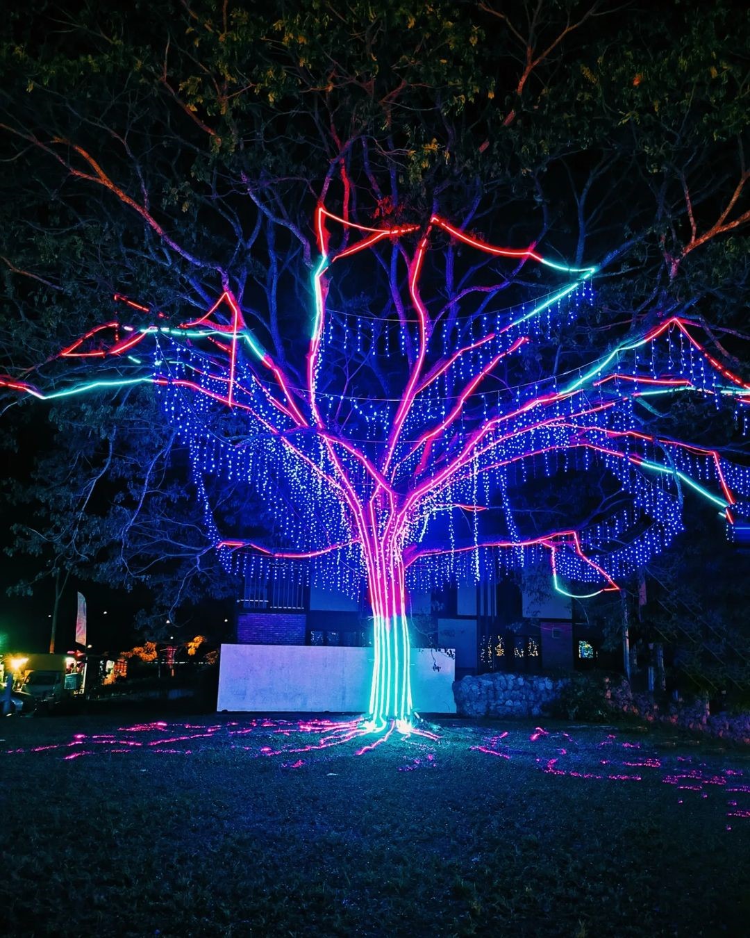 Luna Lights Wonderland - tree