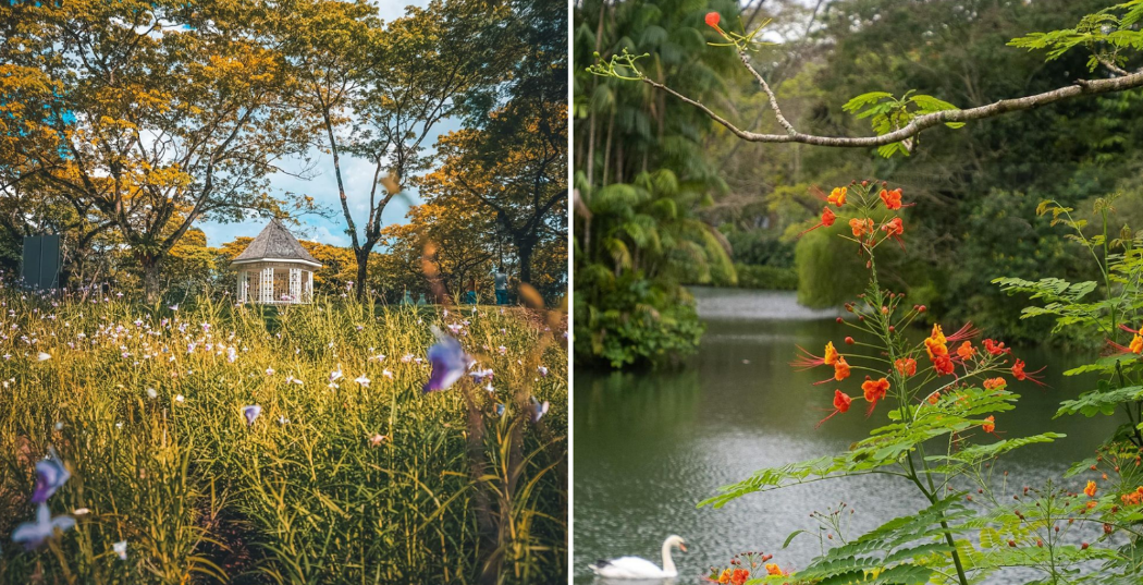 free singapore - gardens