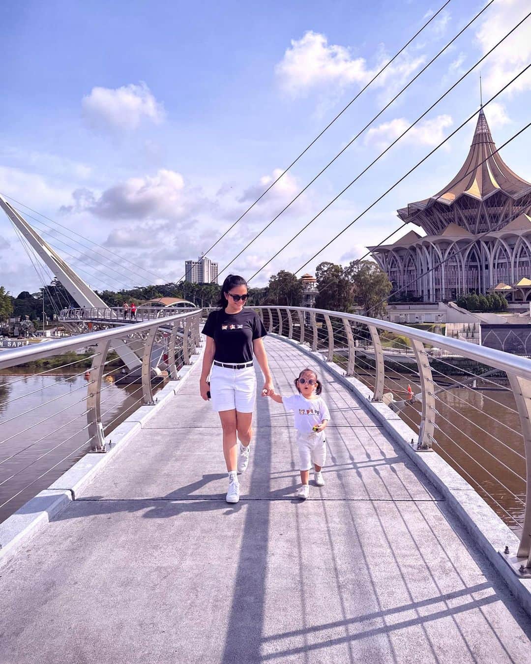 Bridges in Malaysia - Darul Hana Bridge