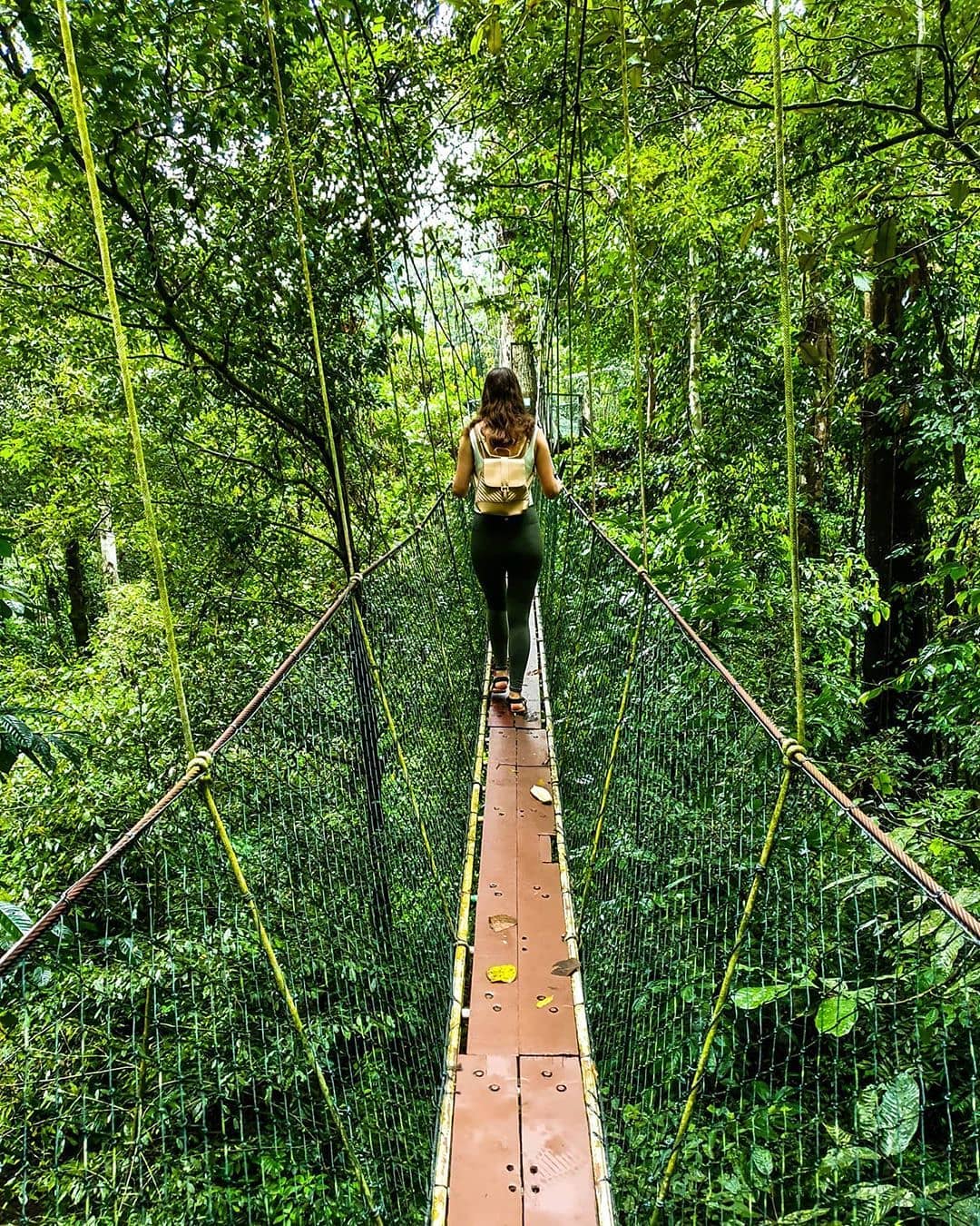 suspended bridge Mulu National Park - things to do in Sarawak