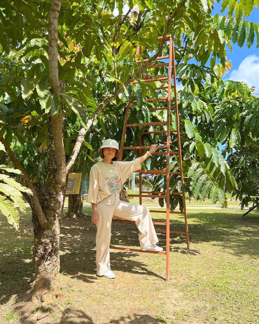 Lesser-known attractions in Malaysia - Tropical Fruit Farm