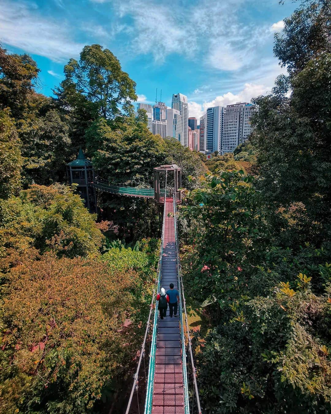 Things to do in KL - KL Forest Eco Park