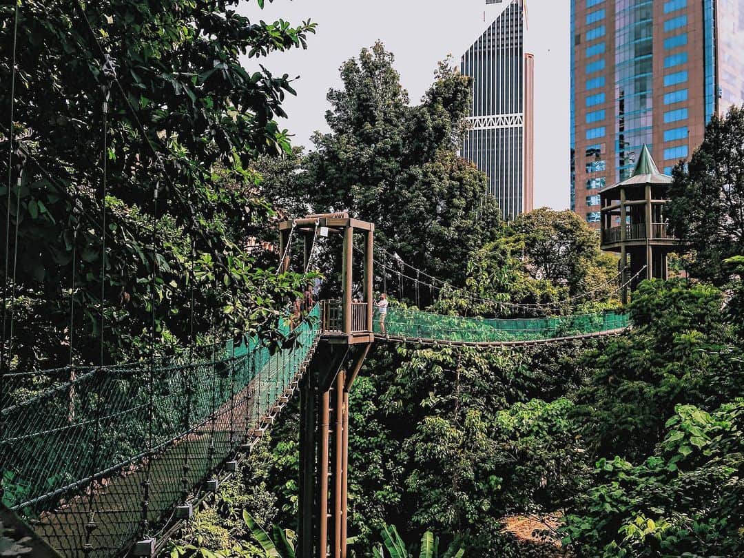 Guide to KL Tower in Malaysia - canopy walk