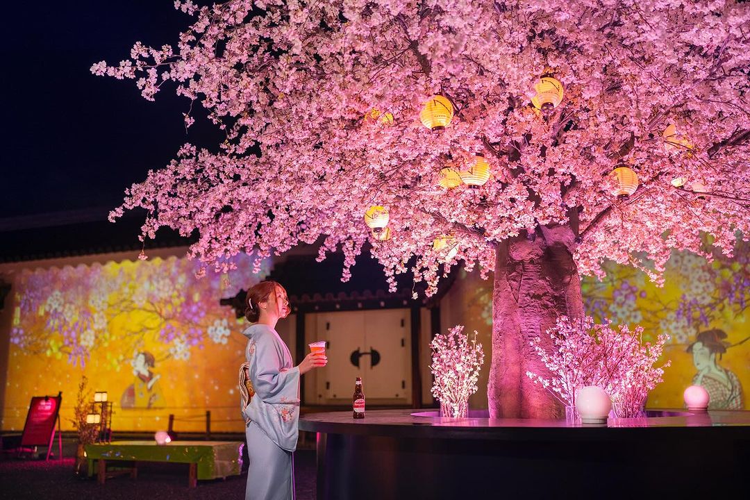Pop-up events and exhibitions in Malaysia - Sakura 