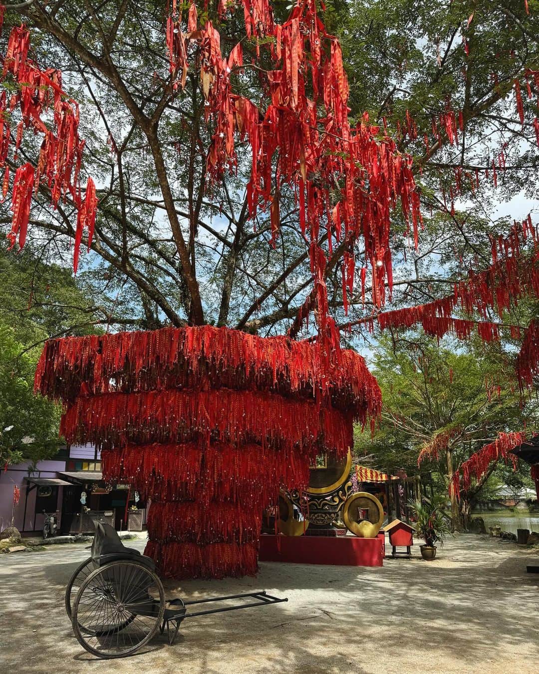 Qing Xin Ling in Ipoh - wishing tree