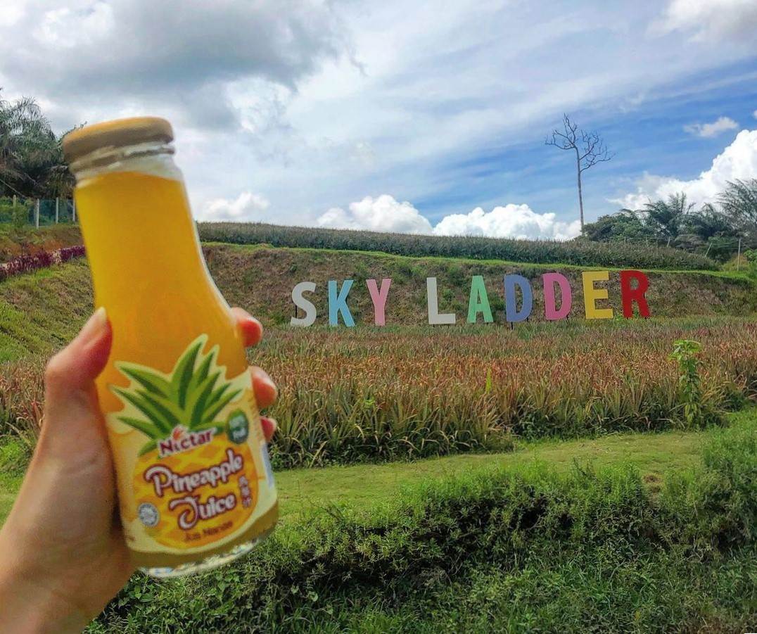 Things to do in Port Dickson - Sky Ladder Pineapple Farm