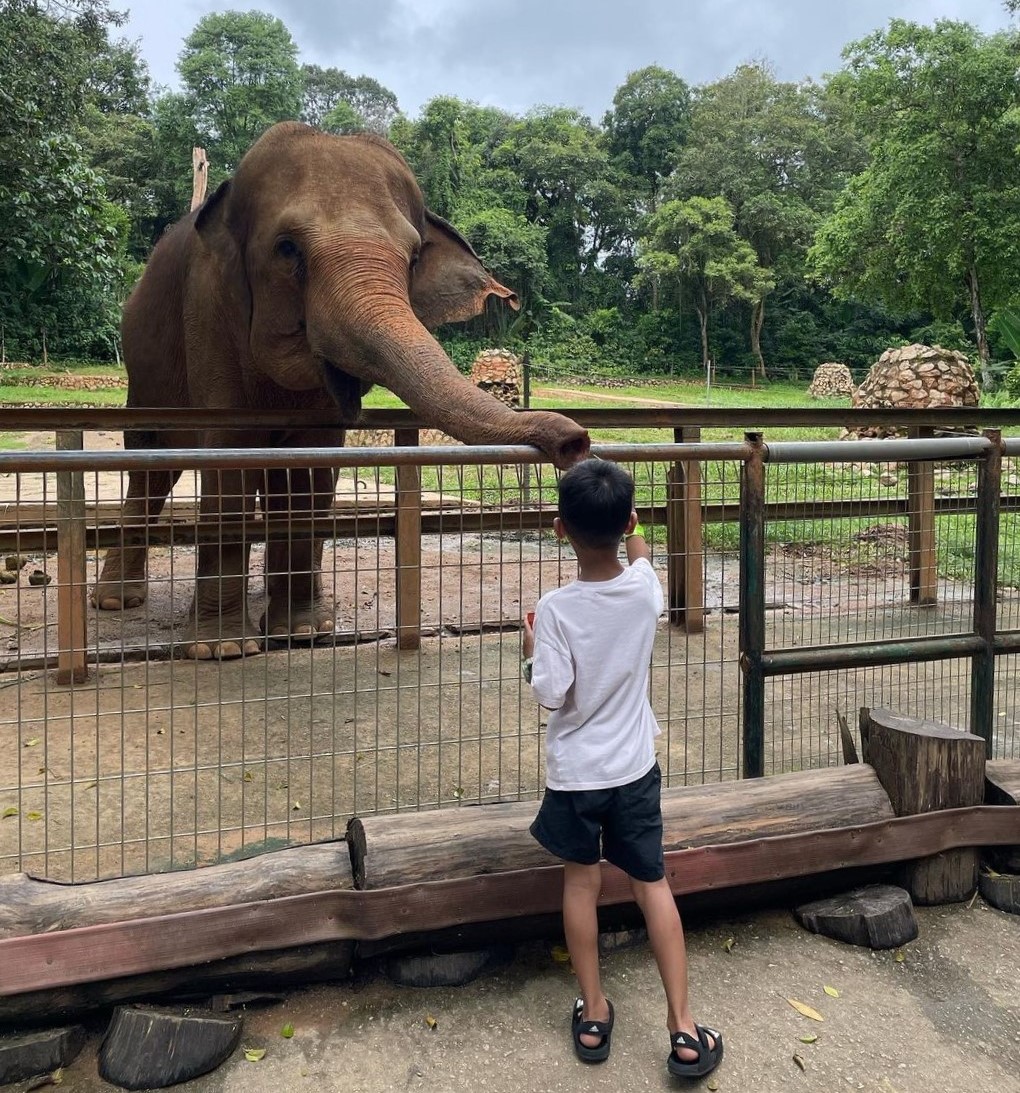 Things to do in Melaka - Zoo Melaka