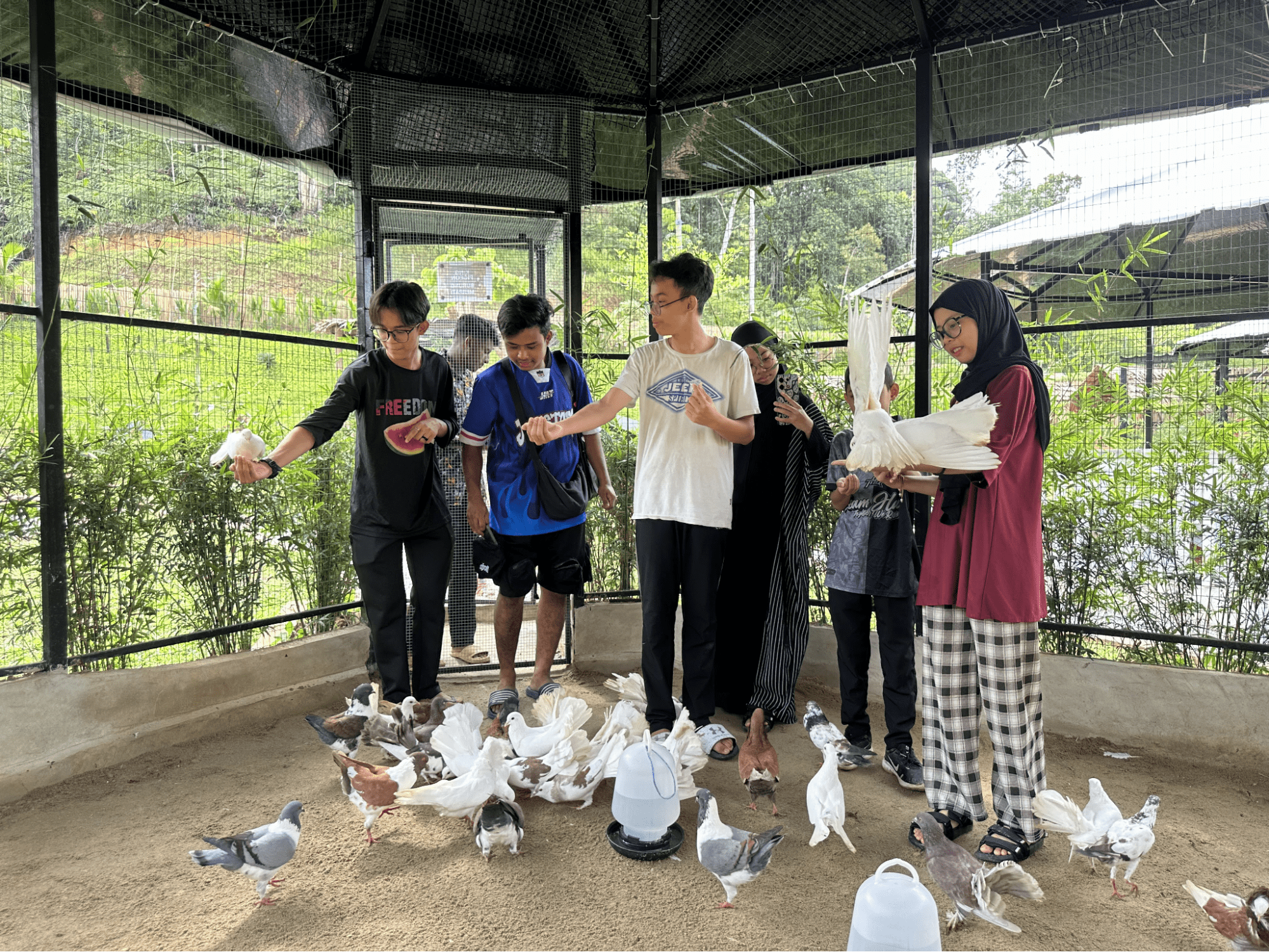 ZAHARA GARDEN IN PERAK - farm animals