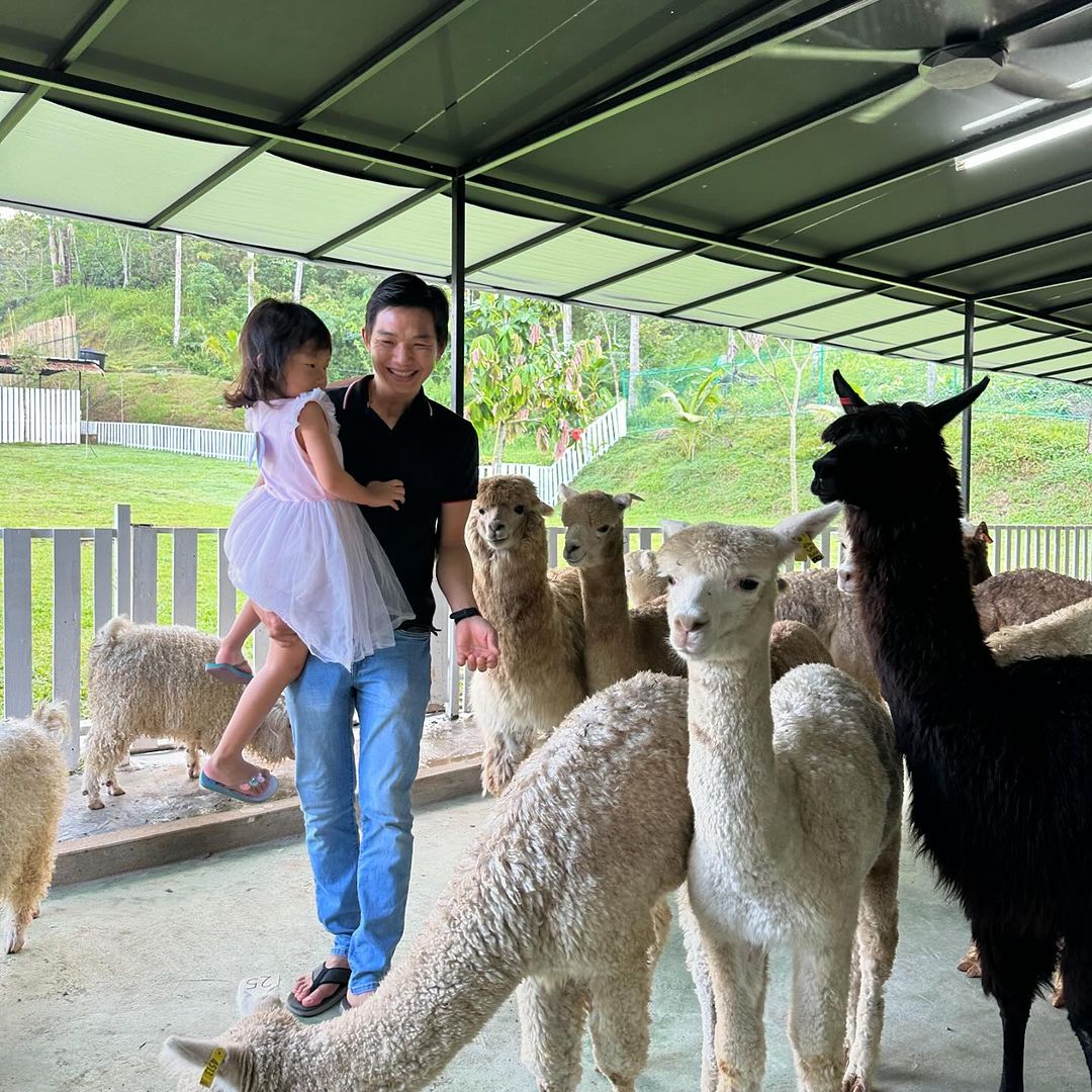 ZAHARA GARDEN IN PERAK - alpacas