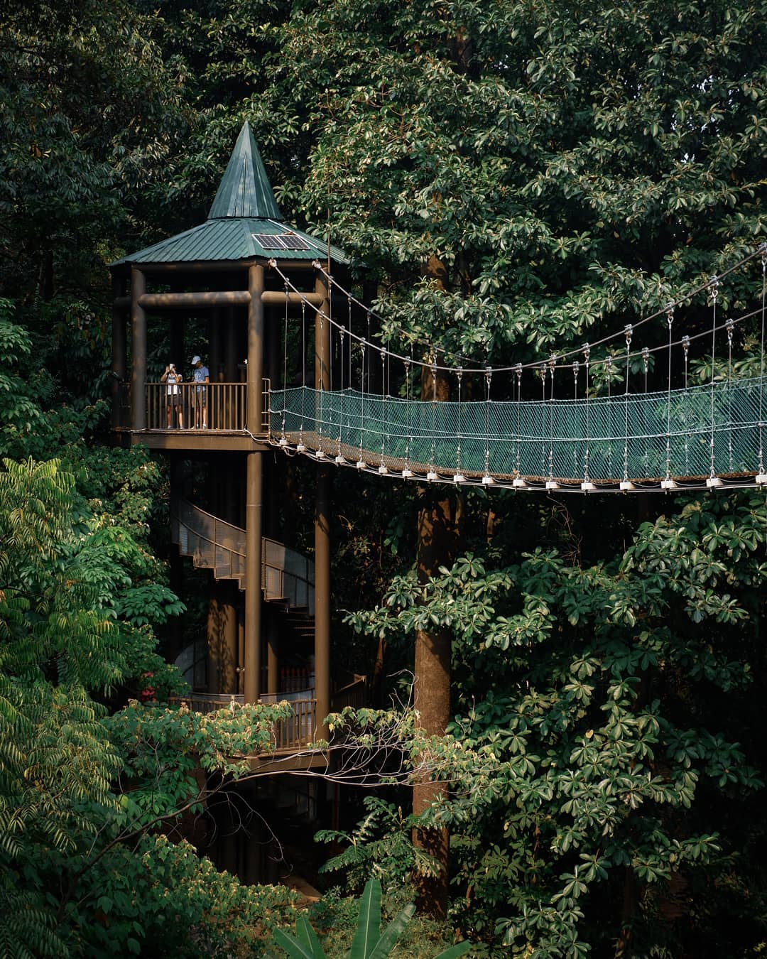 kl forest eco park canopy walk