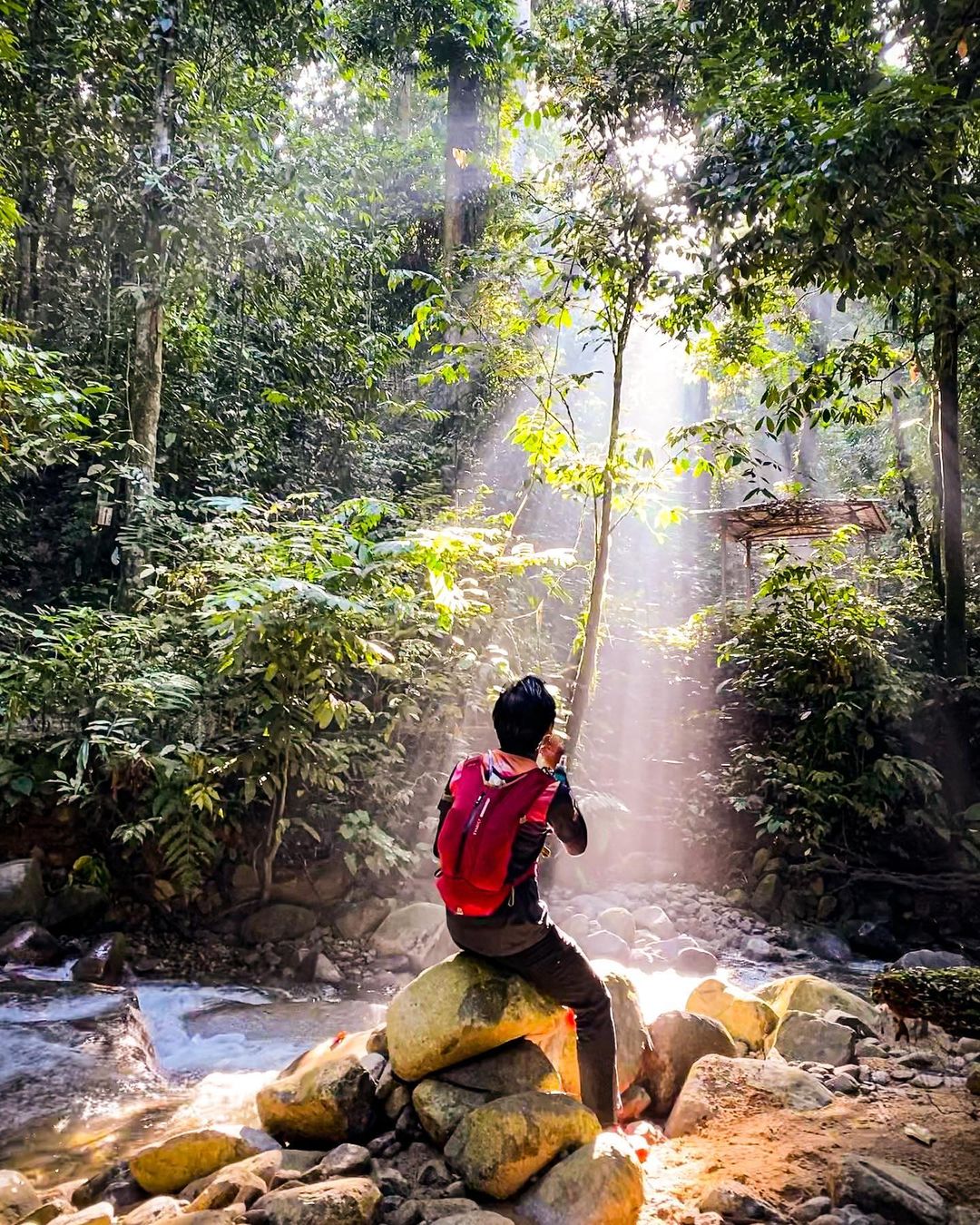 hiking trails in kl - gunung nuang