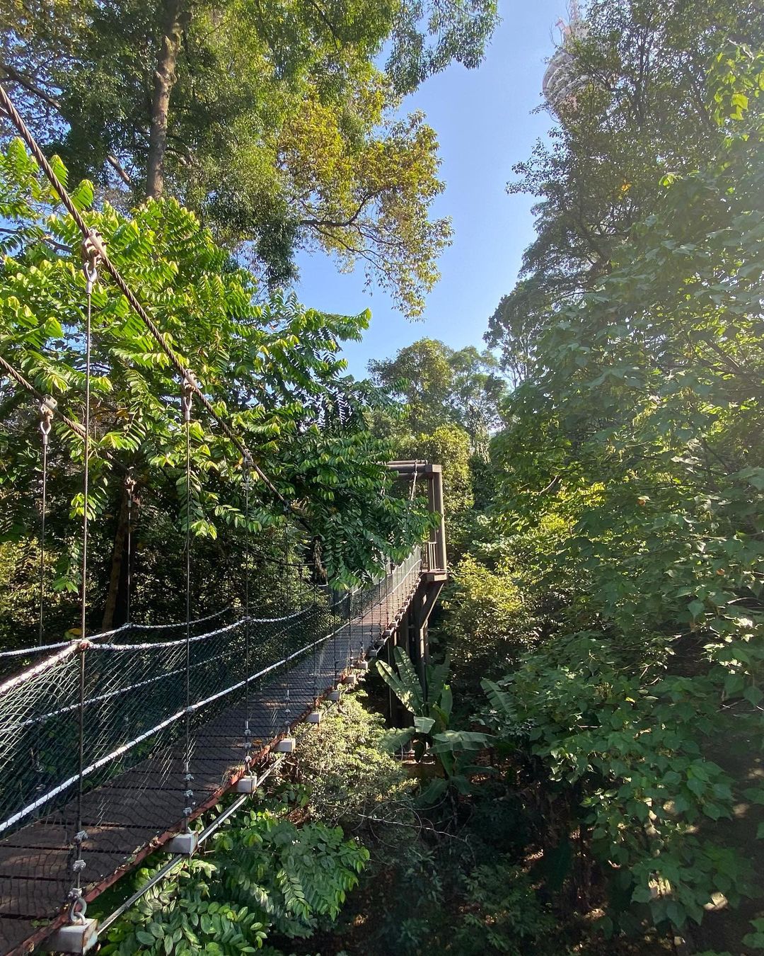  kl forest eco park