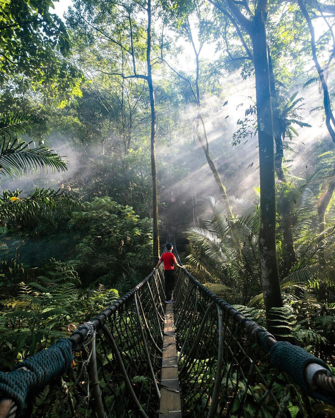 hiking trails in pj- bukit gasing