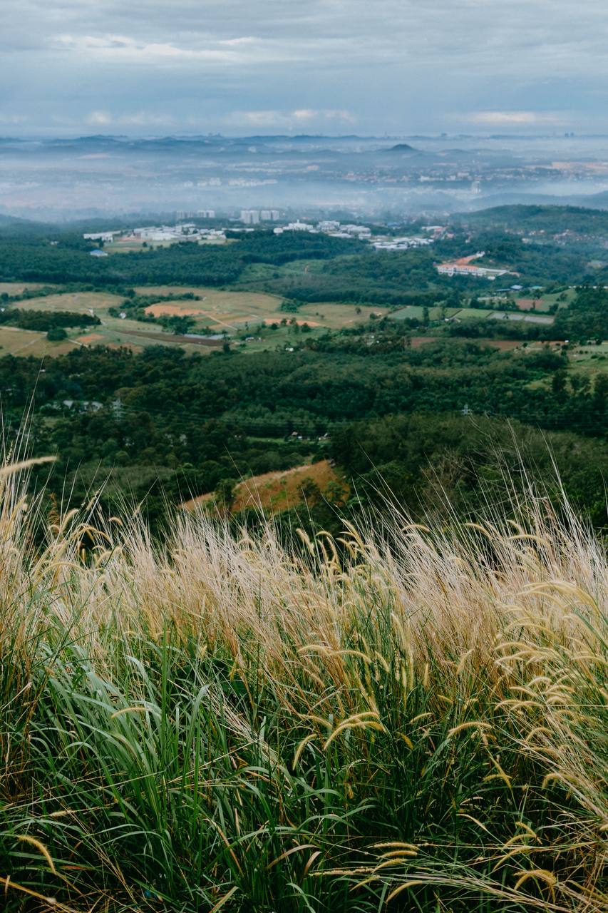 hiking trails in kl - broga