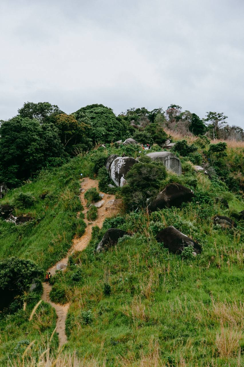 hiking trails in kl - broga