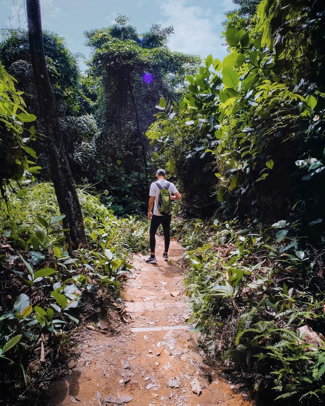 hiking trails in pj- bukit gasing