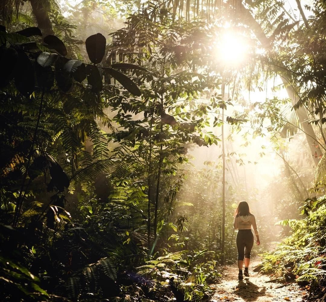 hiking trails in pj- bukit gasing