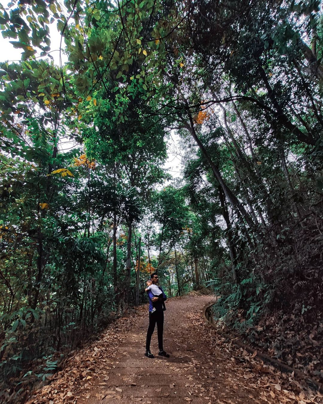 hiking trails in kl - bukit dinding