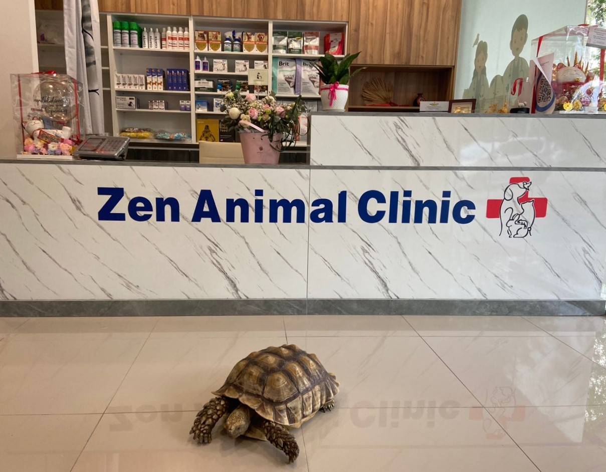 vets and animal clinics in klang valley - zen animal