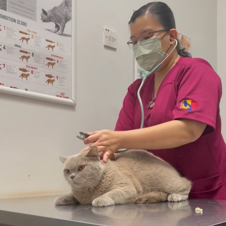 vets and animal clinics in klang valley - serv-u