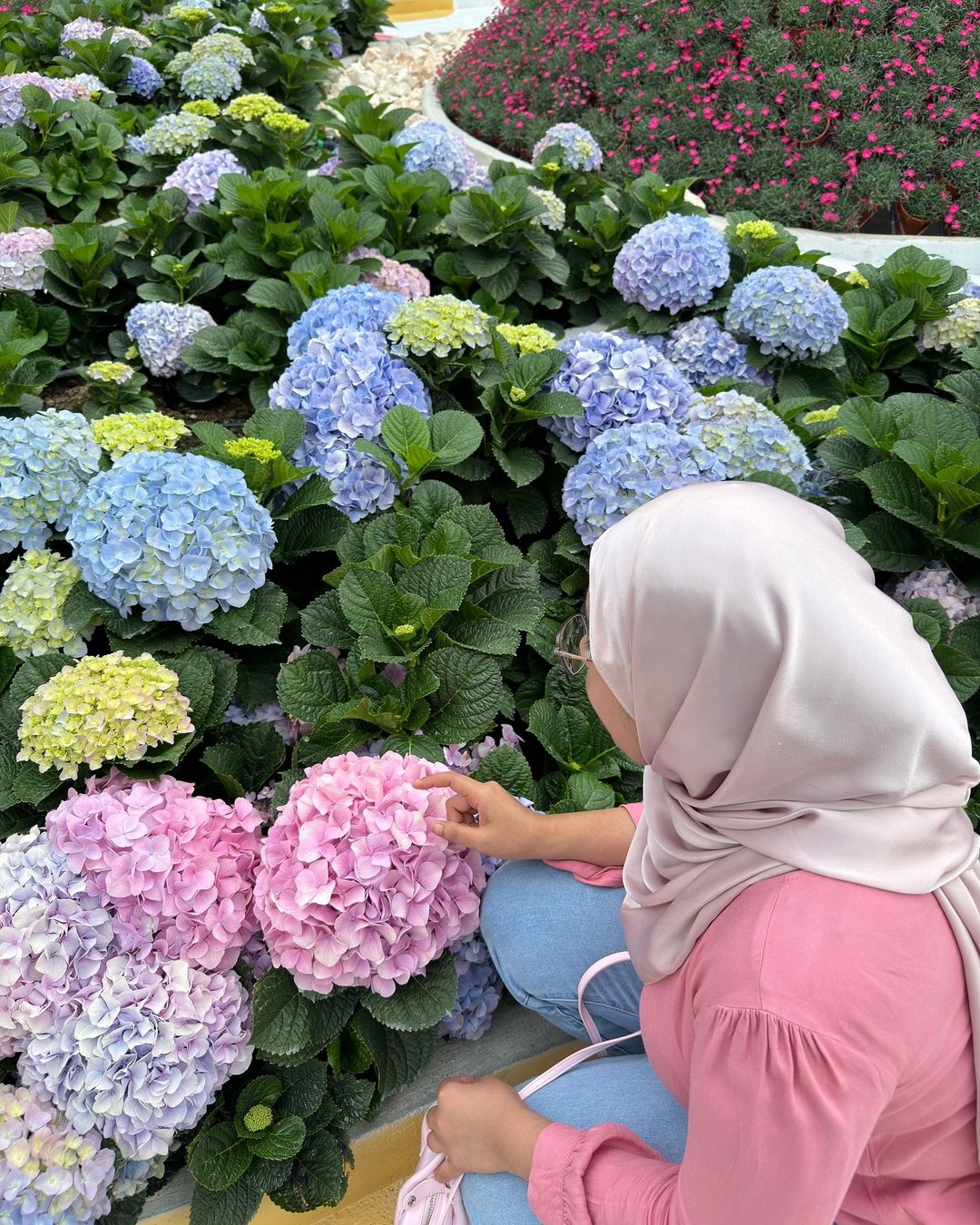 things to do in cameron highlands - agro park
