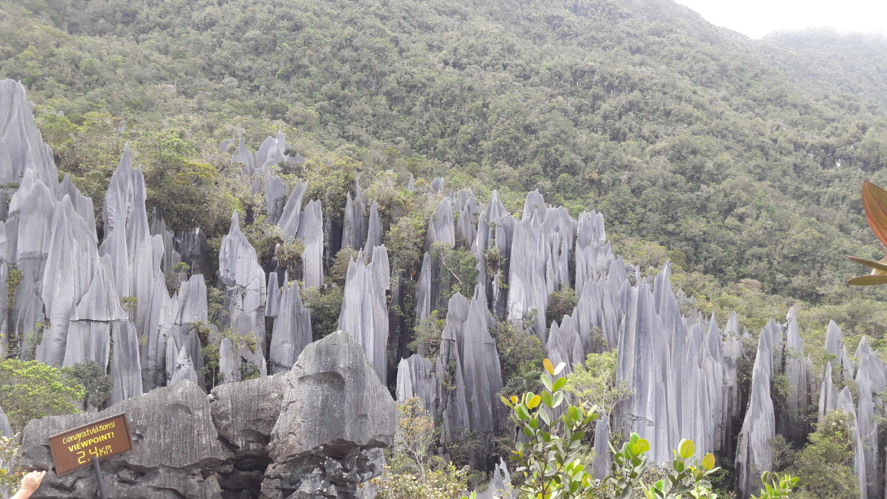 Adventurous Hiking Trails in Malaysia - Mount Mulu