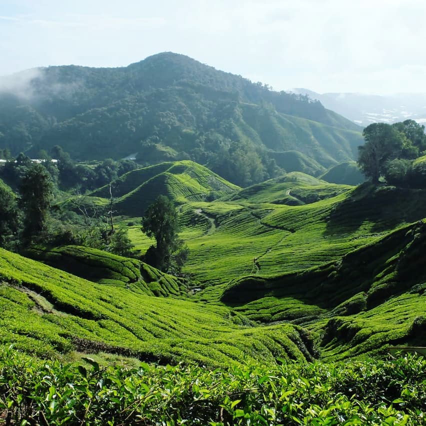 Adventurous Hiking Trails in Malaysia - Mount Nuang